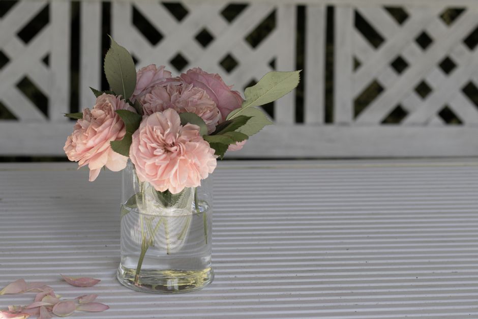 Fleurs et séries : quelles vibes pour quel bouquet ?